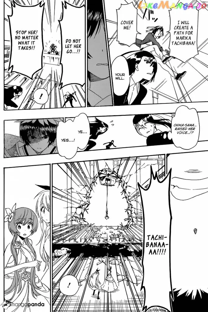 Nisekoi Chapter 193 image 13_optimized